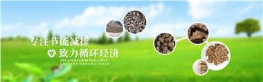 倪維斗院士：通過技術創(chuàng)新，大力發(fā)展超級能源生物質燃料